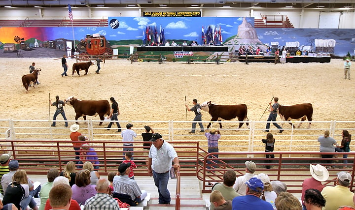 Mural gave fitting backdrop to livestock shows | Grand Island Local ...