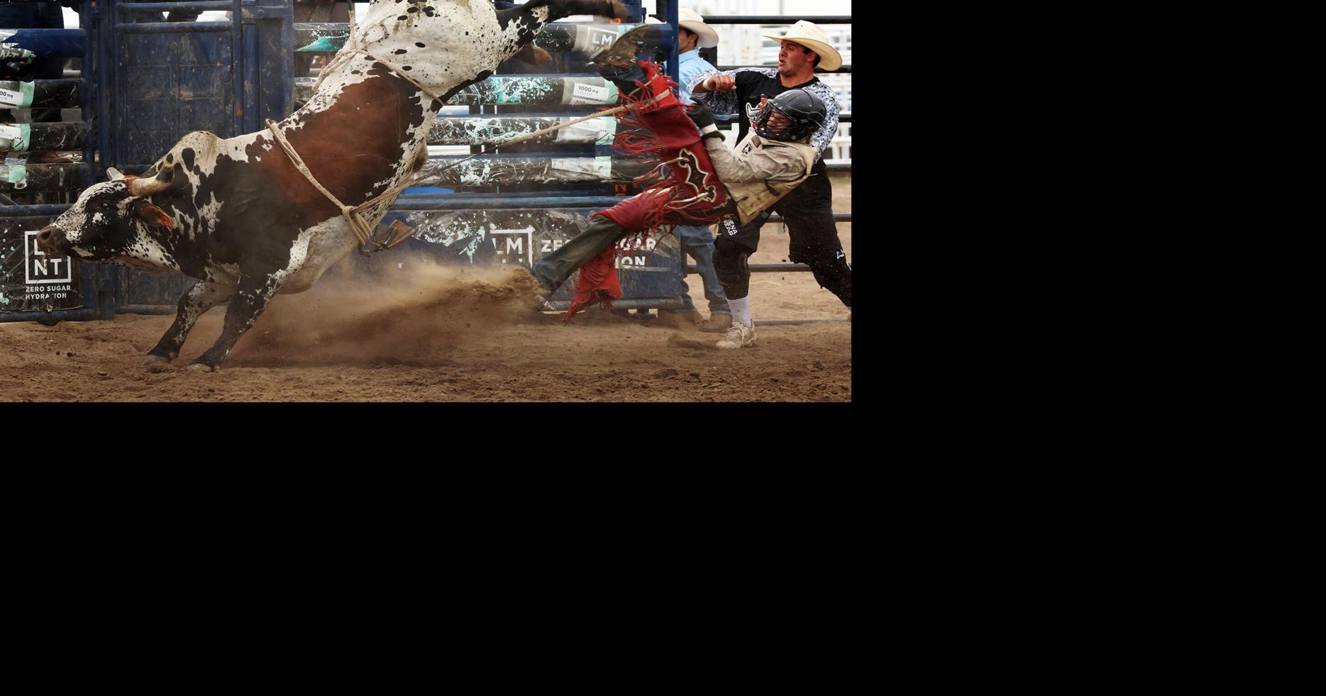 STATE FAIR PHOTOS: Bull riding, bands and more