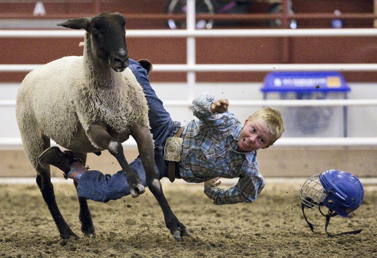 Mutton Bustin Kids Entertain Fairgoers Local News