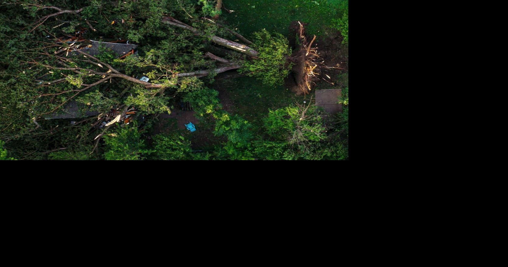 Tree falls on Papillion house during 'sporadic' storm, briefly trapping man