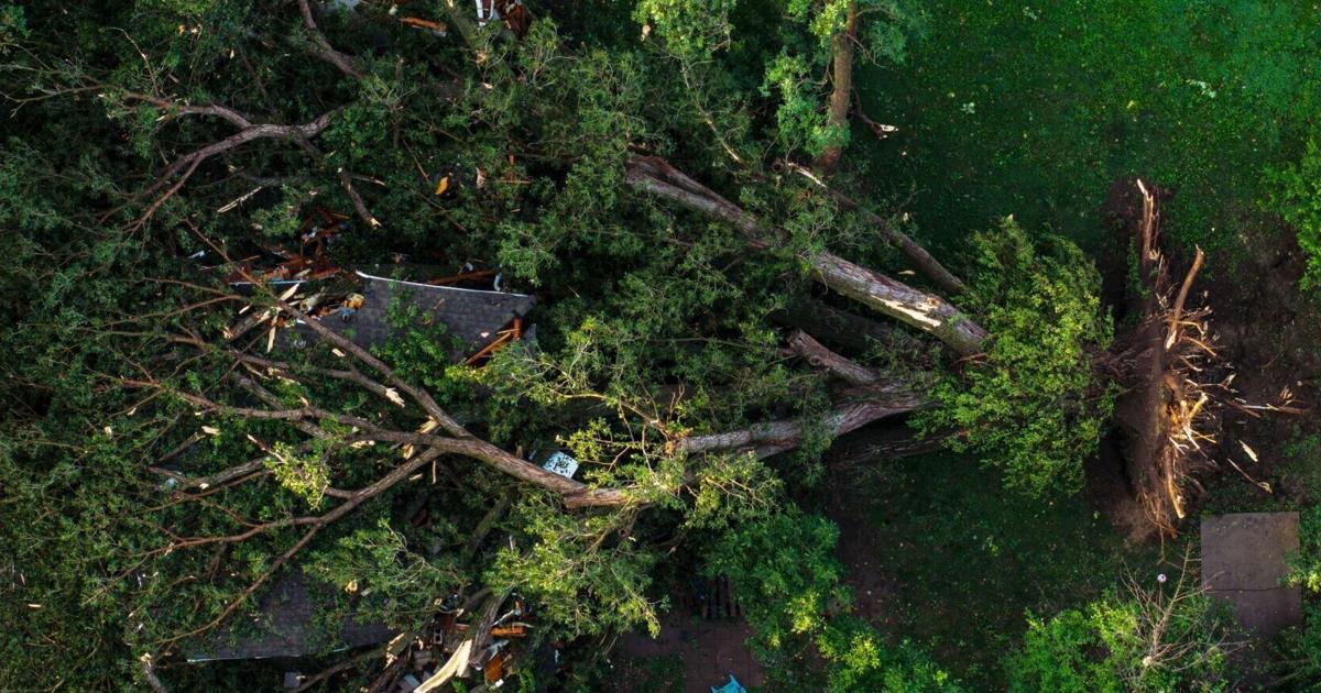 Tree falls on Papillion house during 'sporadic' storm, briefly trapping man