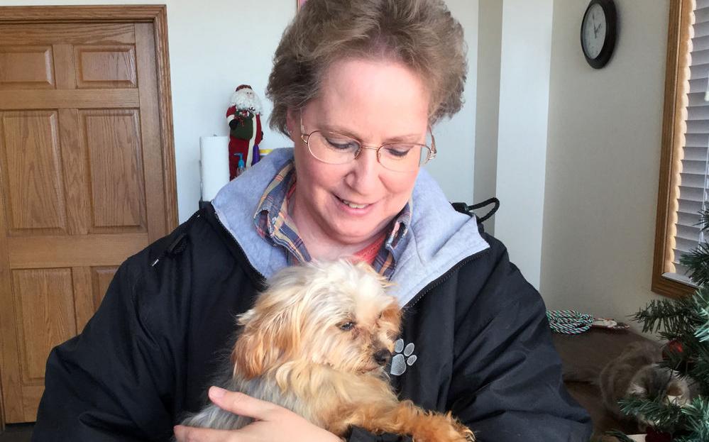 Voice For Companion Animals Grand Island Nebraska Voice For Companion Animals Grand Island Nebraska