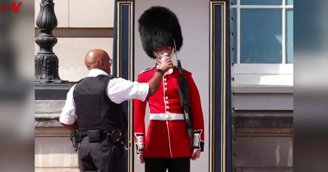 Queen’s Guards battle sweltering heat in hefty uniforms