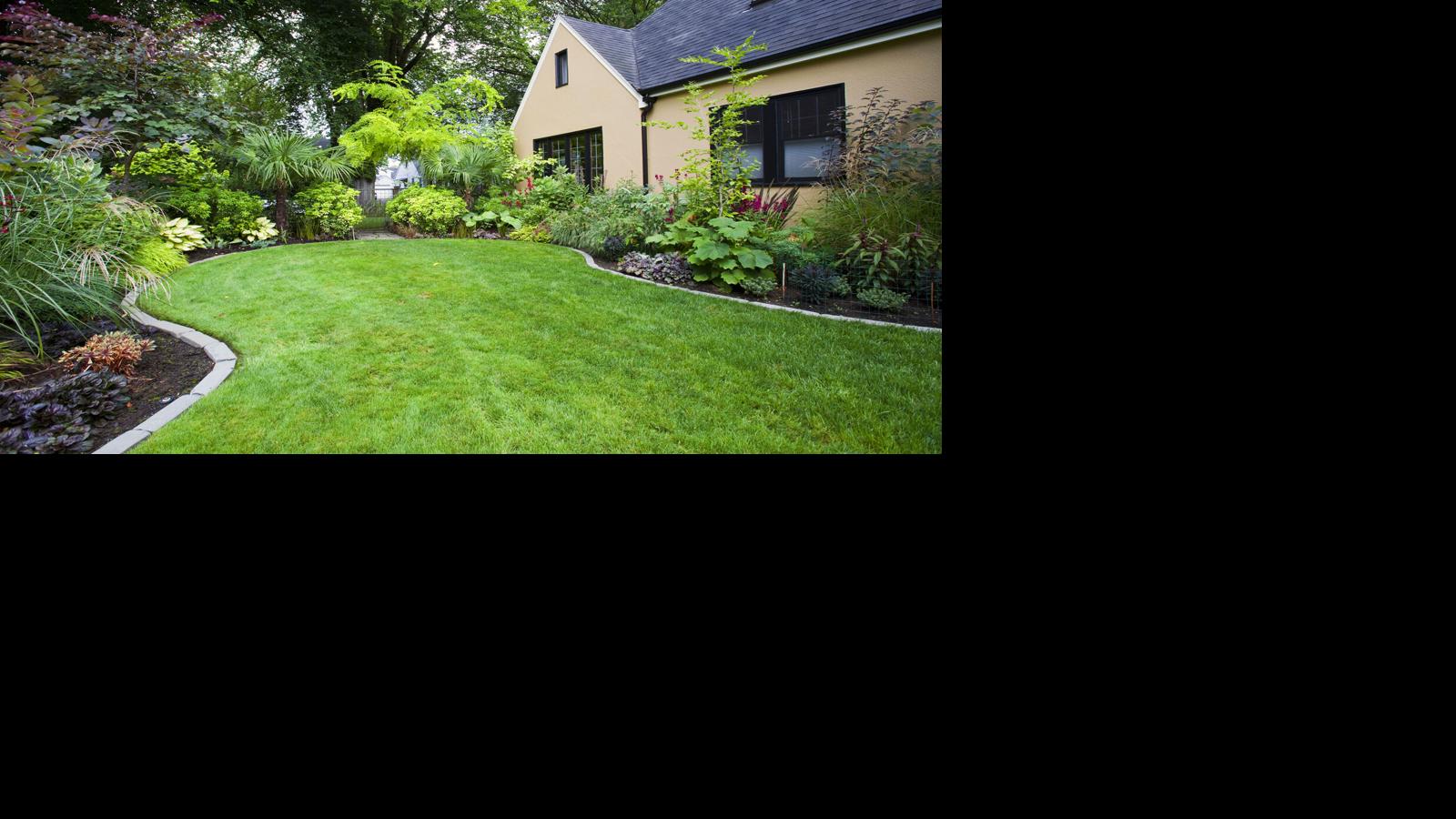 Elizabeth Exstrom: Looking for a lush lawn? Even with fall approaching, it’s not too late