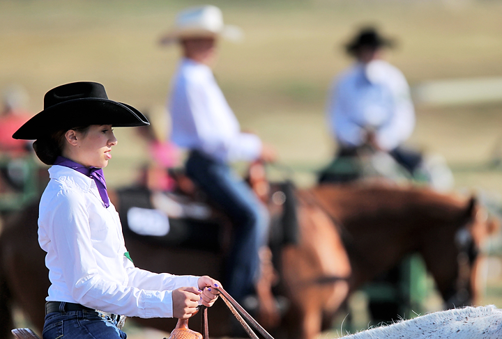 Working with horses helps 4-H'ers learn life skills