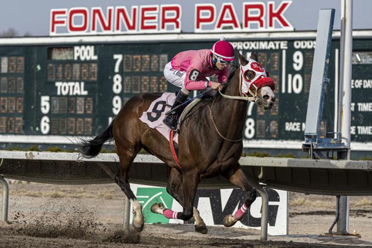 Grand Island Fonner Park purses up 20