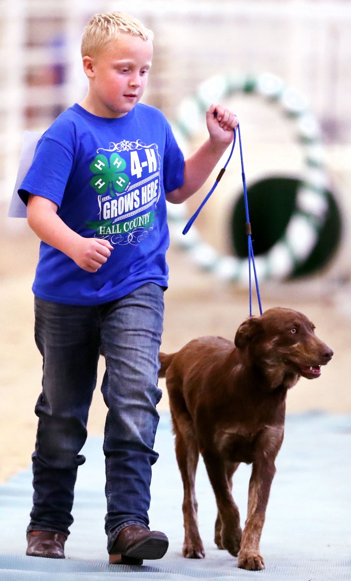 it-s-all-about-the-dogs-at-4-h-show-grand-island-local-news