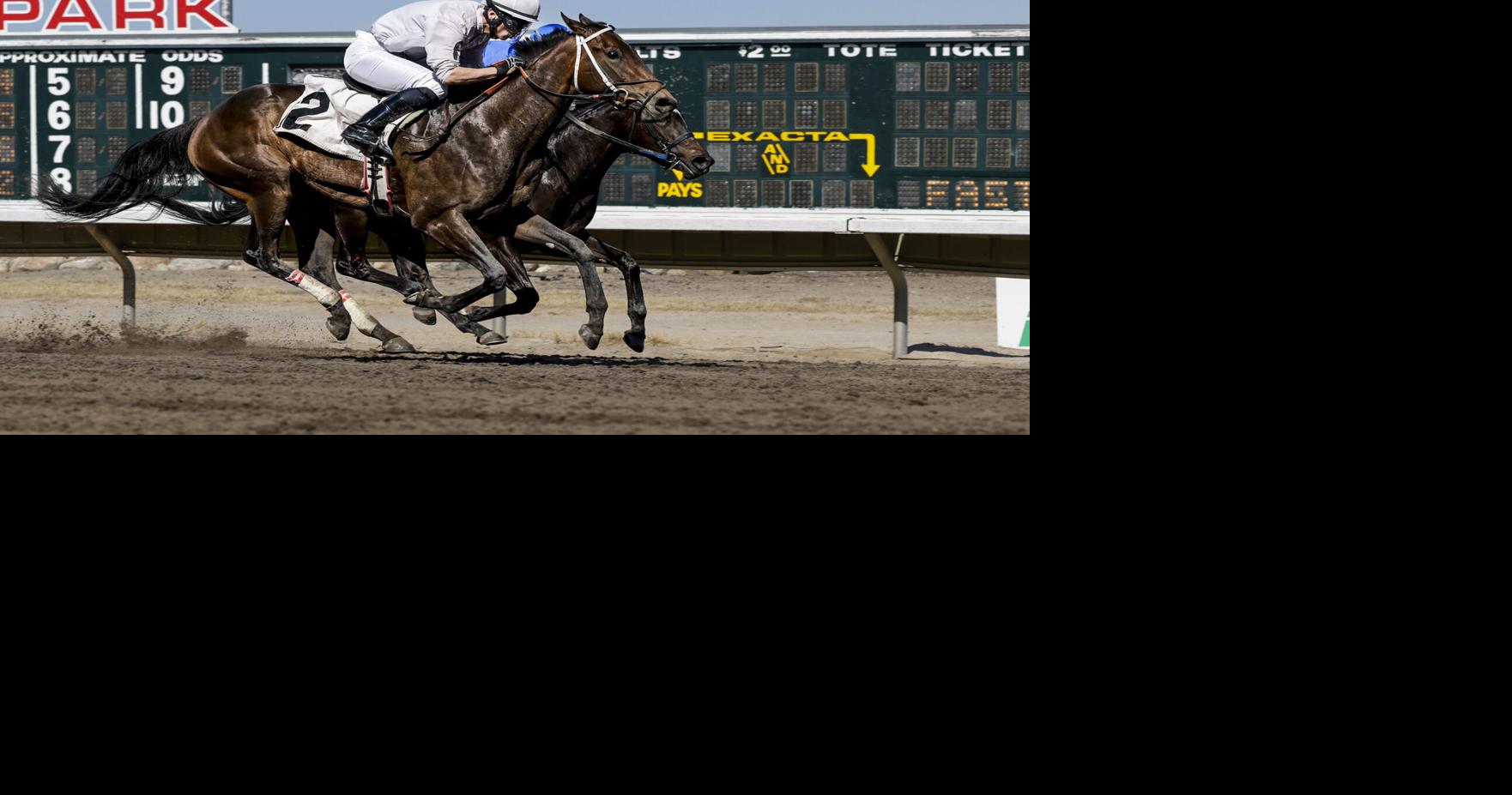Fonner's stable area, training track open Thursday