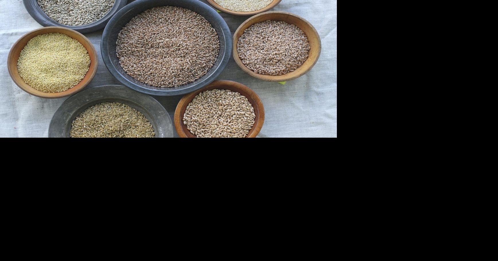Cami Wells: Enjoy fall baking with whole grains