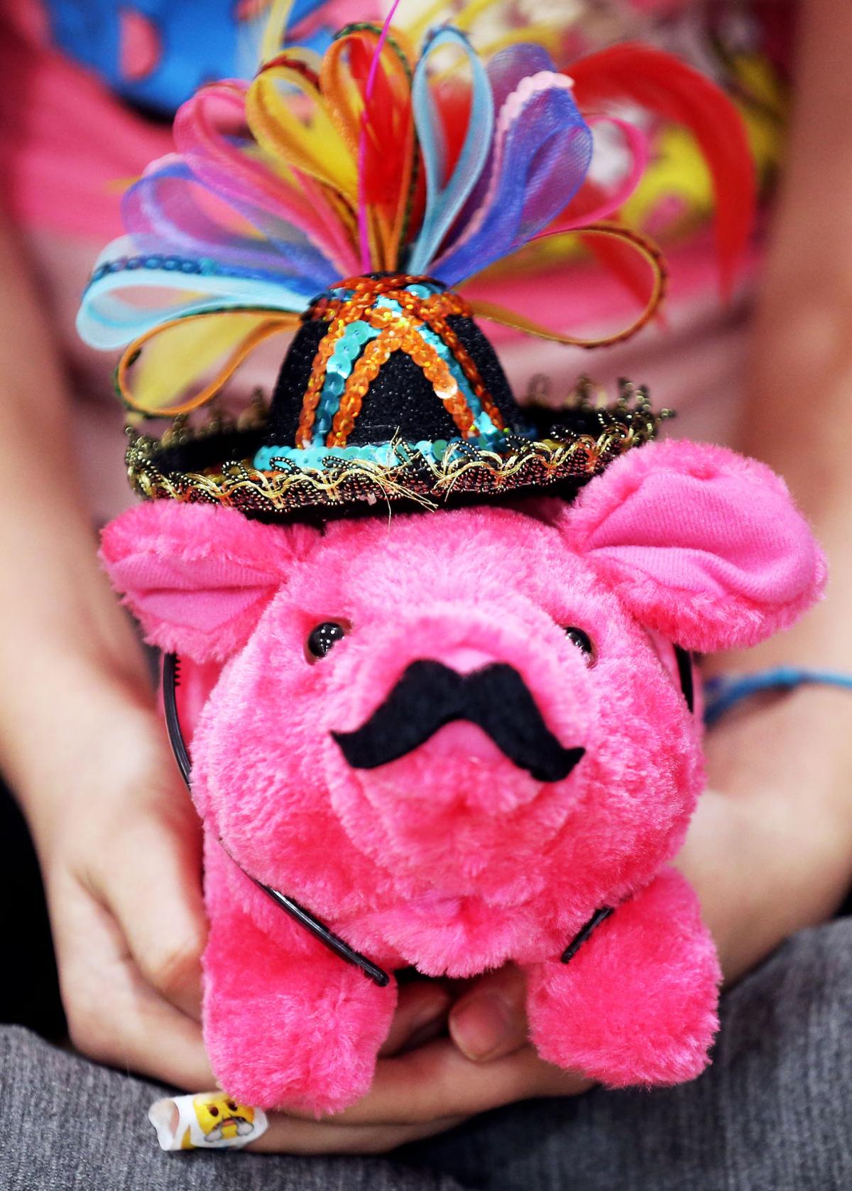 Cedar Hollow races mechanical pigs Grand Island Local News