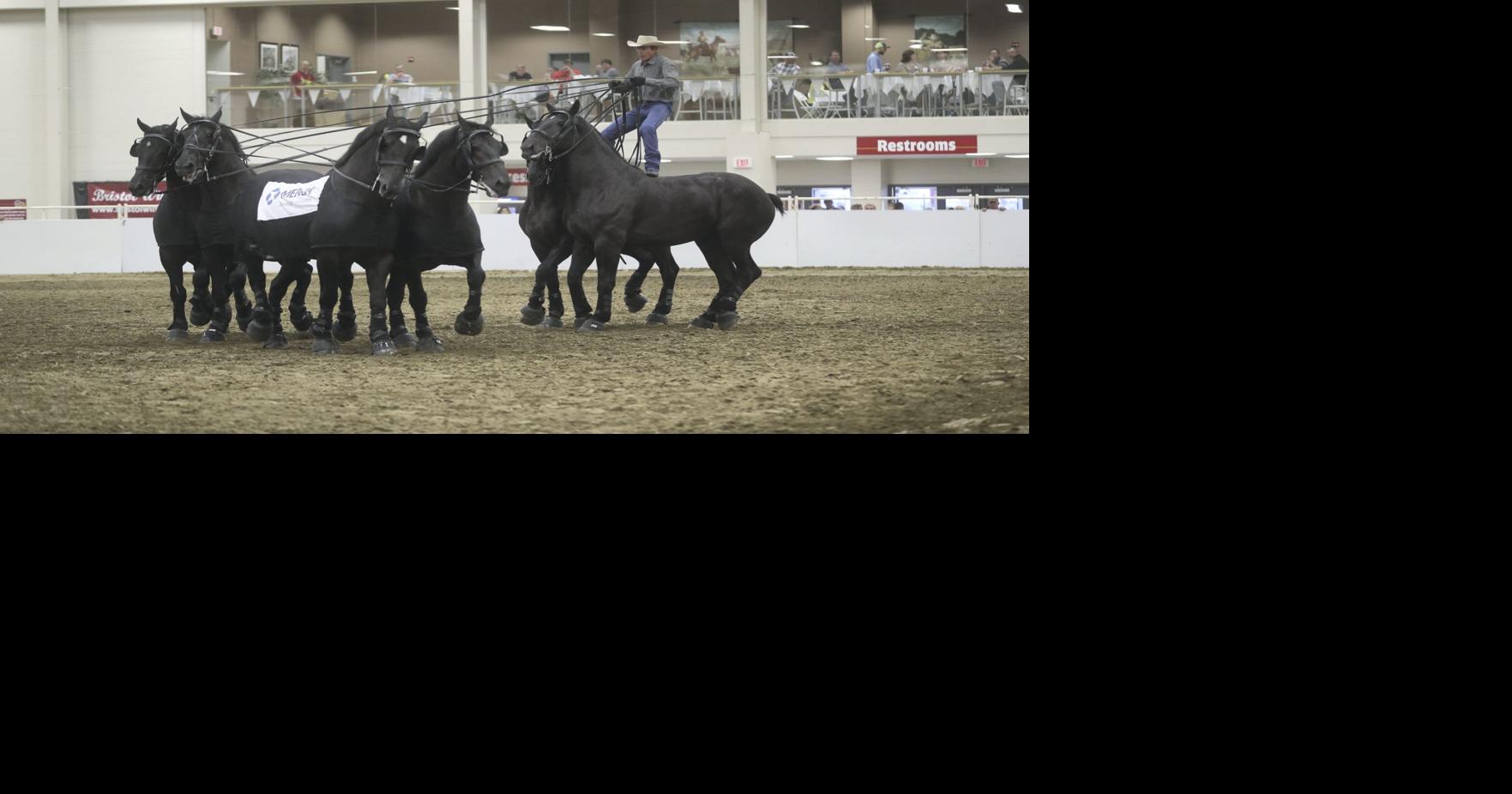 Draft Horse Show hitches up for a weekend of excitement at the Nebraska