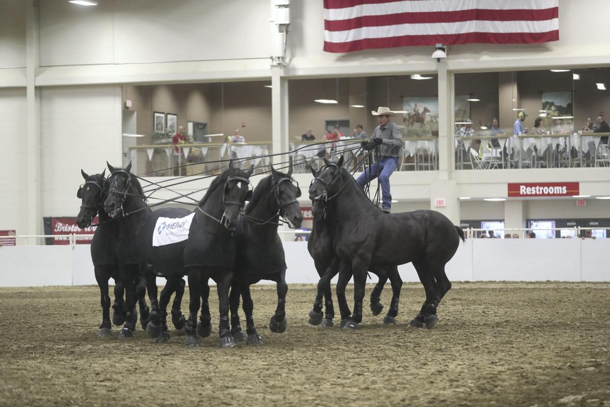 Draft Horse Show hitches up for a weekend of excitement at the Nebraska