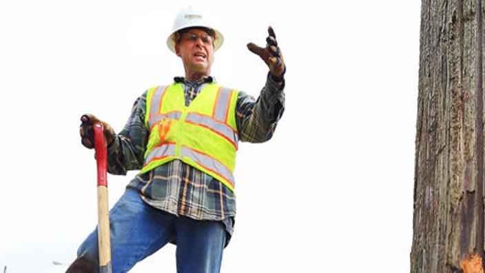 company-inspecting-820-wooden-poles-under-contract-with-city