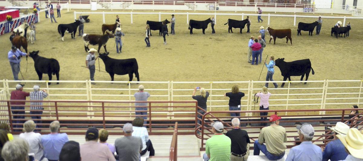 Cattleman S Day Topped Off By Barbecue And Supreme Beef
