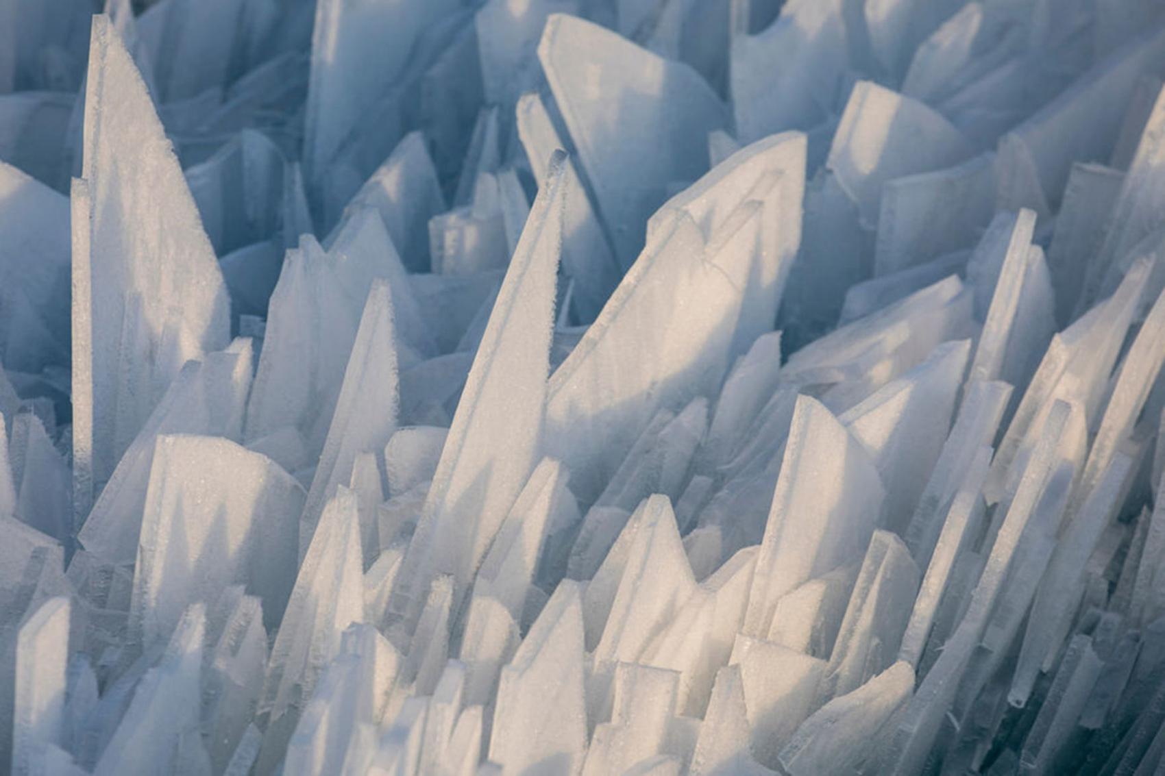 Photos Gorgeous Ice Shards Are Piling Up Along Lake Michigan Trending 