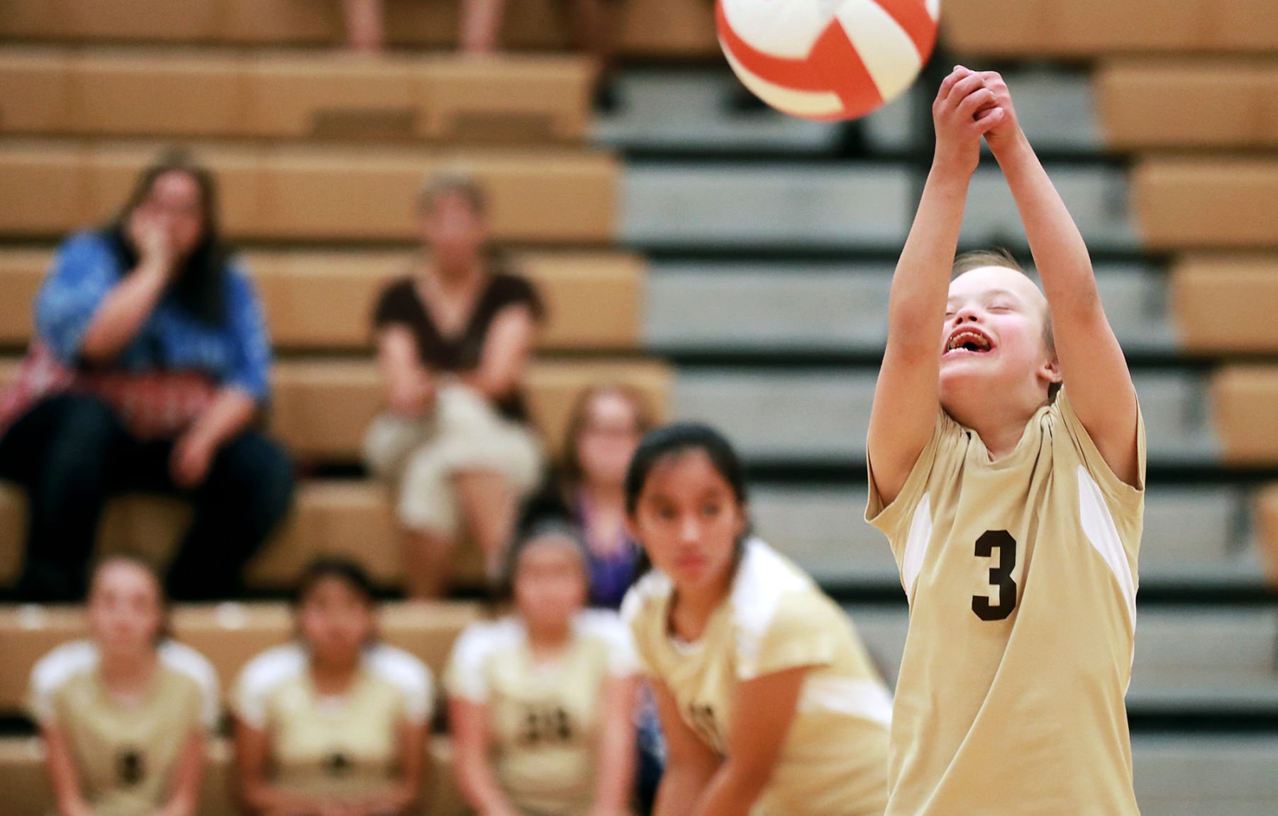 everything about volleyball