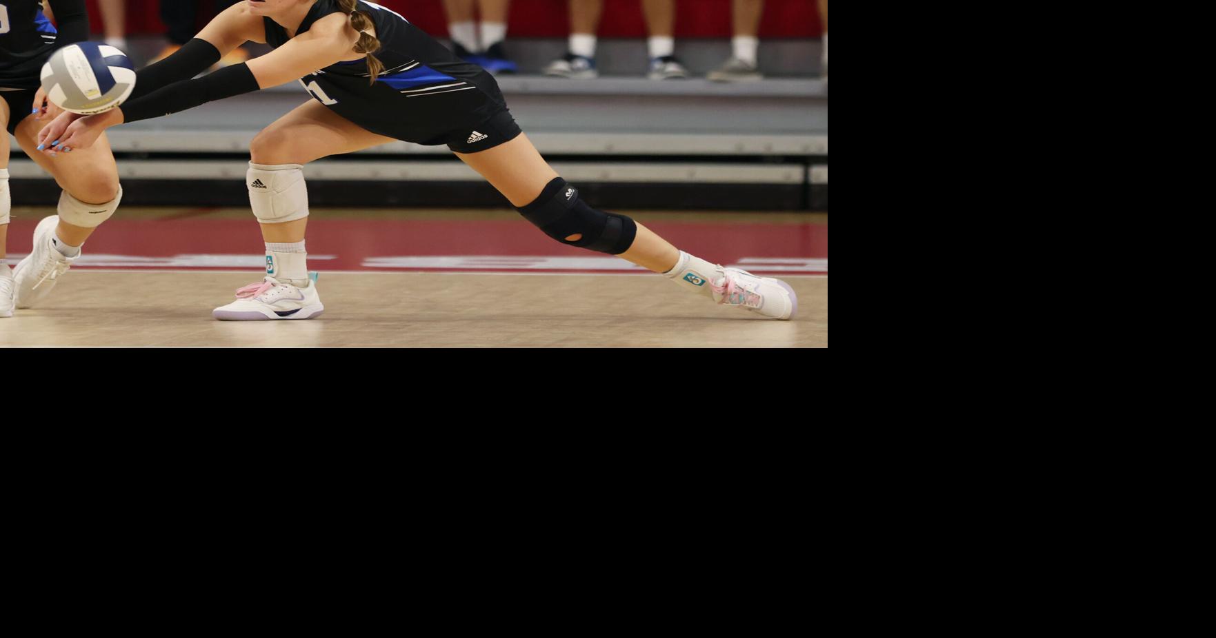 State volleyball tournament pairings: Check out the official brackets