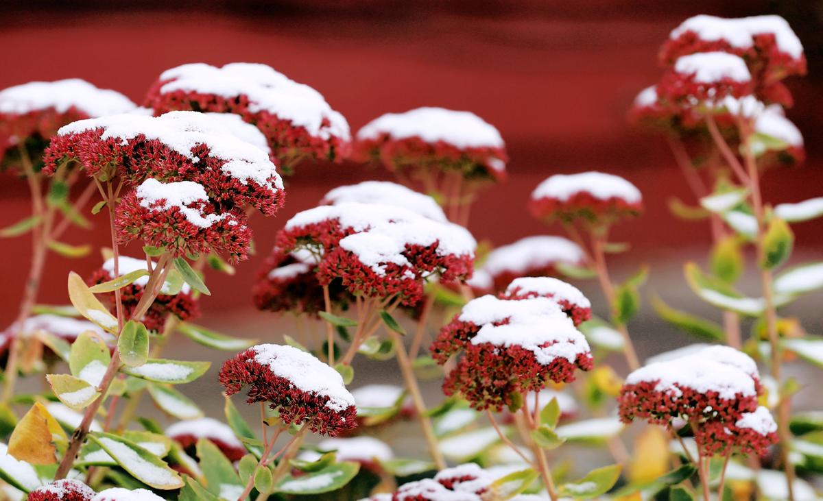 First Winter Weather Advisory Issued For Grand Island And