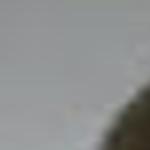Pursuit Leads To Arrest Of Lincoln Motorcyclist Grand Island Local News Theindependent Com Hawk, is very interested in the camera atop our tower at 40th and vine in lincoln, ne today!. pursuit leads to arrest of lincoln