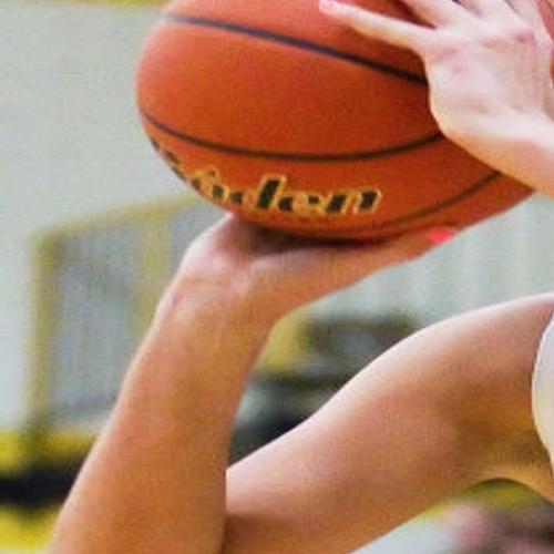 Brown Reaches Milestone Nw Girls Dominate Sports Theindependent Com