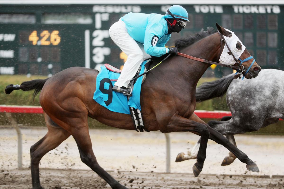 Risenhoover S Career Blossoming Fonner Theindependent Com