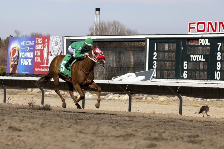 Cajun Trinity rides to victory in Pepsi Stakes