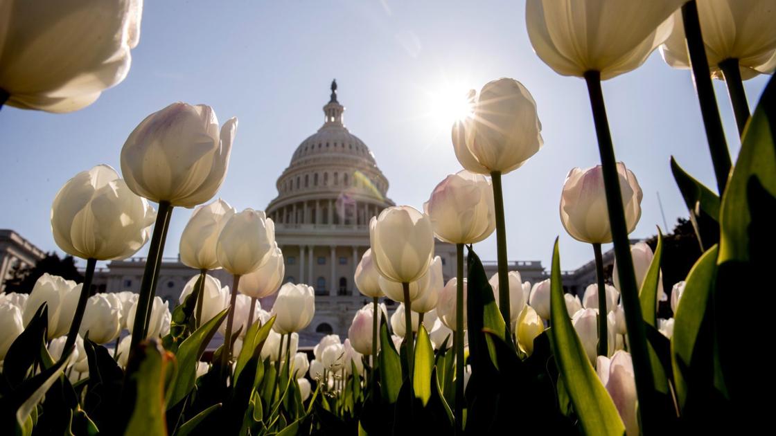 Coronavirus Morning Update White House Congress Talk Up