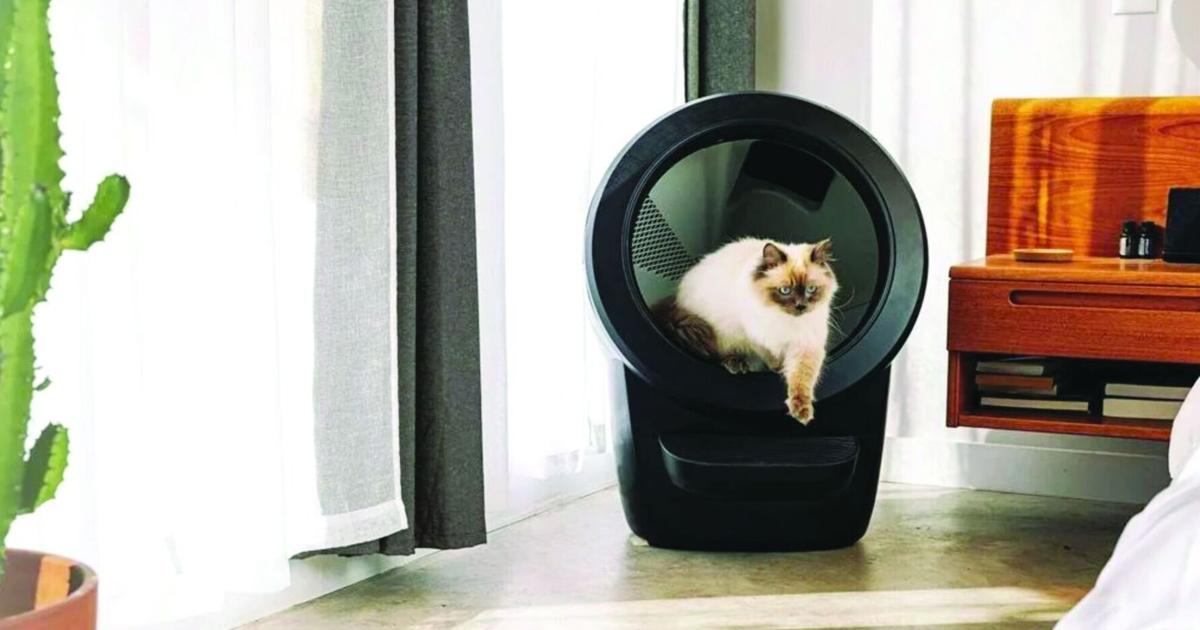 Detroit’s Whisker Grows to 600 Employees, Joins Detroit Lions & Tigers as Official Litterbox