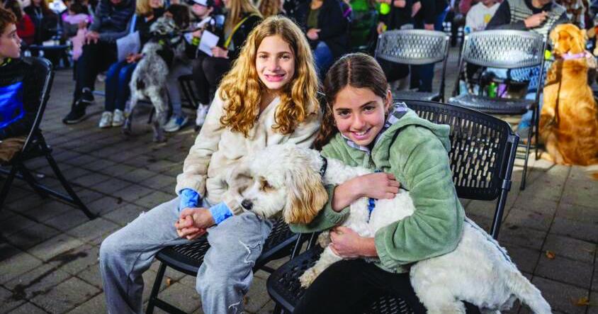 Temple Kol Ami to Host Pet-Friendly Shabbat Service July 18 | Community