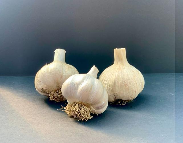 Jewish Gardening in Cheshvan: Garlic Folklore and New Beginnings