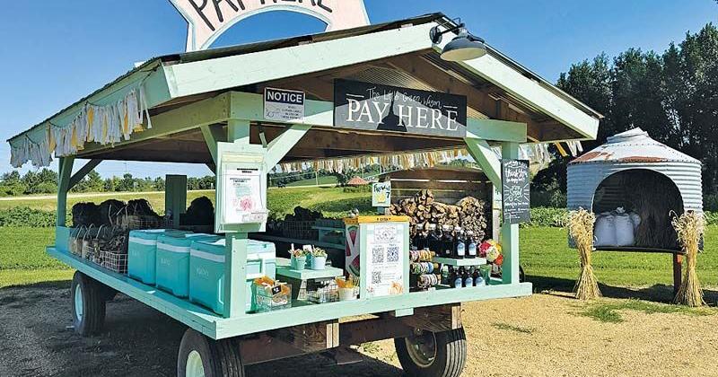 Back Roads: Community and Connection | News | thelandonline.com
