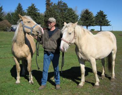 Saving the American Creams one horse at a time