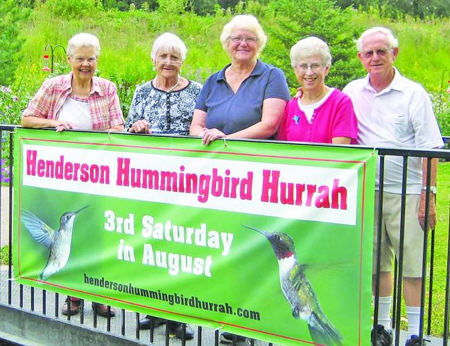 Tiny hummingbird has big following in Henderson News