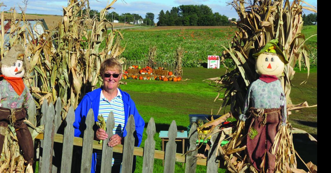Iowa pumpkin patch is a labor of love for families News