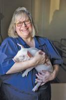 Swine & U: Swine production choices to help producers cope with Covid-19