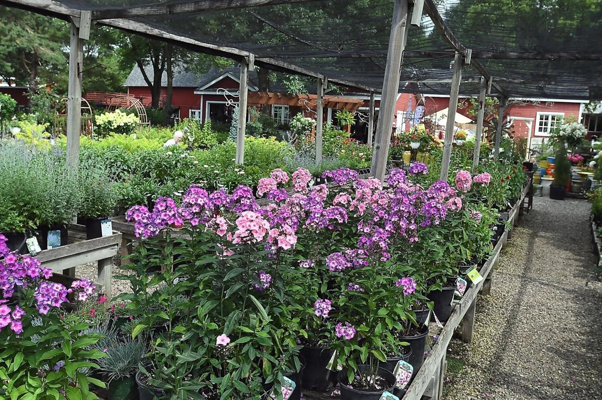 Edenvale’s new owner continues tradition Mankato News