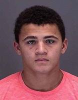 Teen sentenced in Blue Earth football team party assault