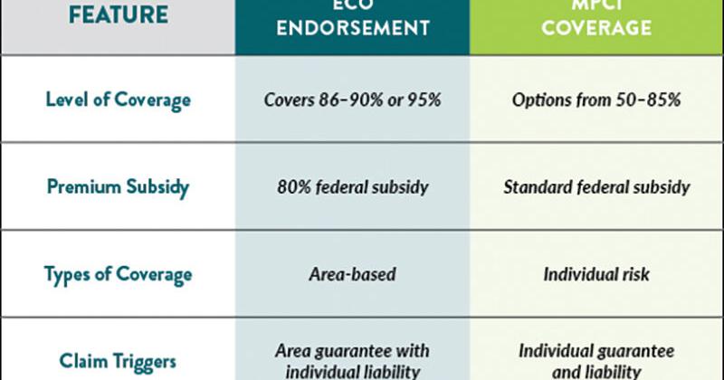 Financial Focus: Understanding the benefits of ECO and SCO coverage ...