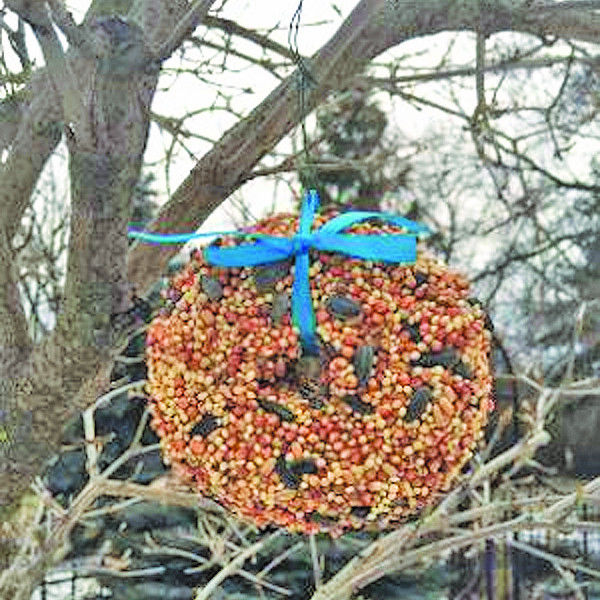In The Garden Decorate A Bird Feeder Tree News