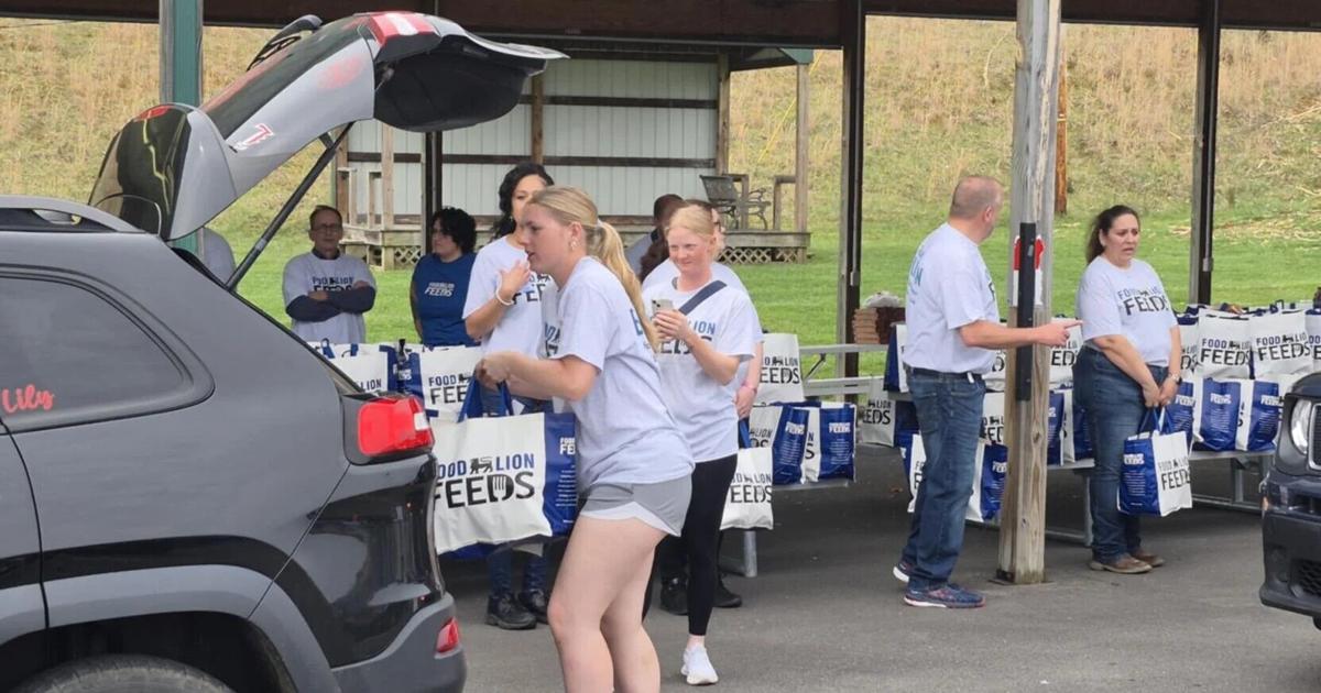 Feeding SWVA, Food Lion Feeds, RCEM partner for food distribution ...