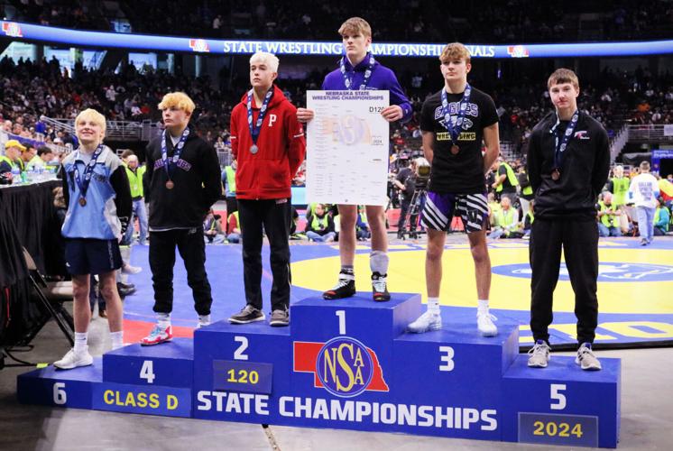 Ritner and Patterson Earn Medals at State | Wilcox-Hildreth ...