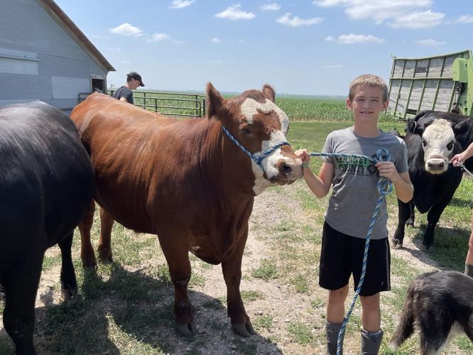 Kearney County Fair is a Family Affair Local News