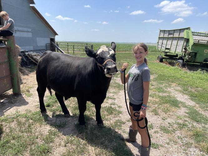 Kearney County Fair is a Family Affair Local News