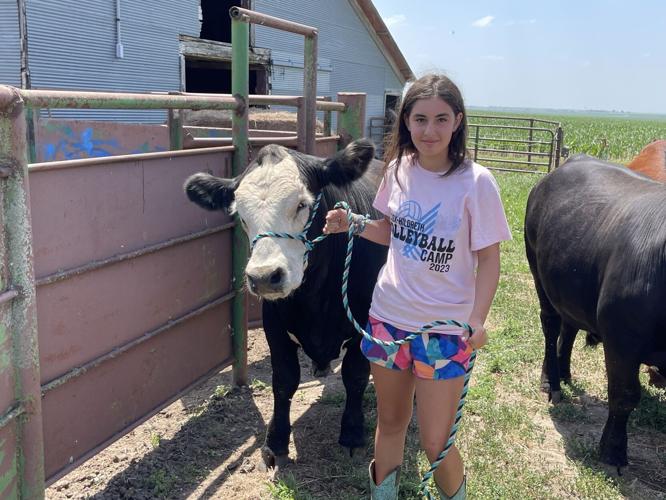 Kearney County Fair is a Family Affair Local News