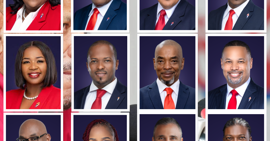 FNM ratifies 12, including former NBA champion