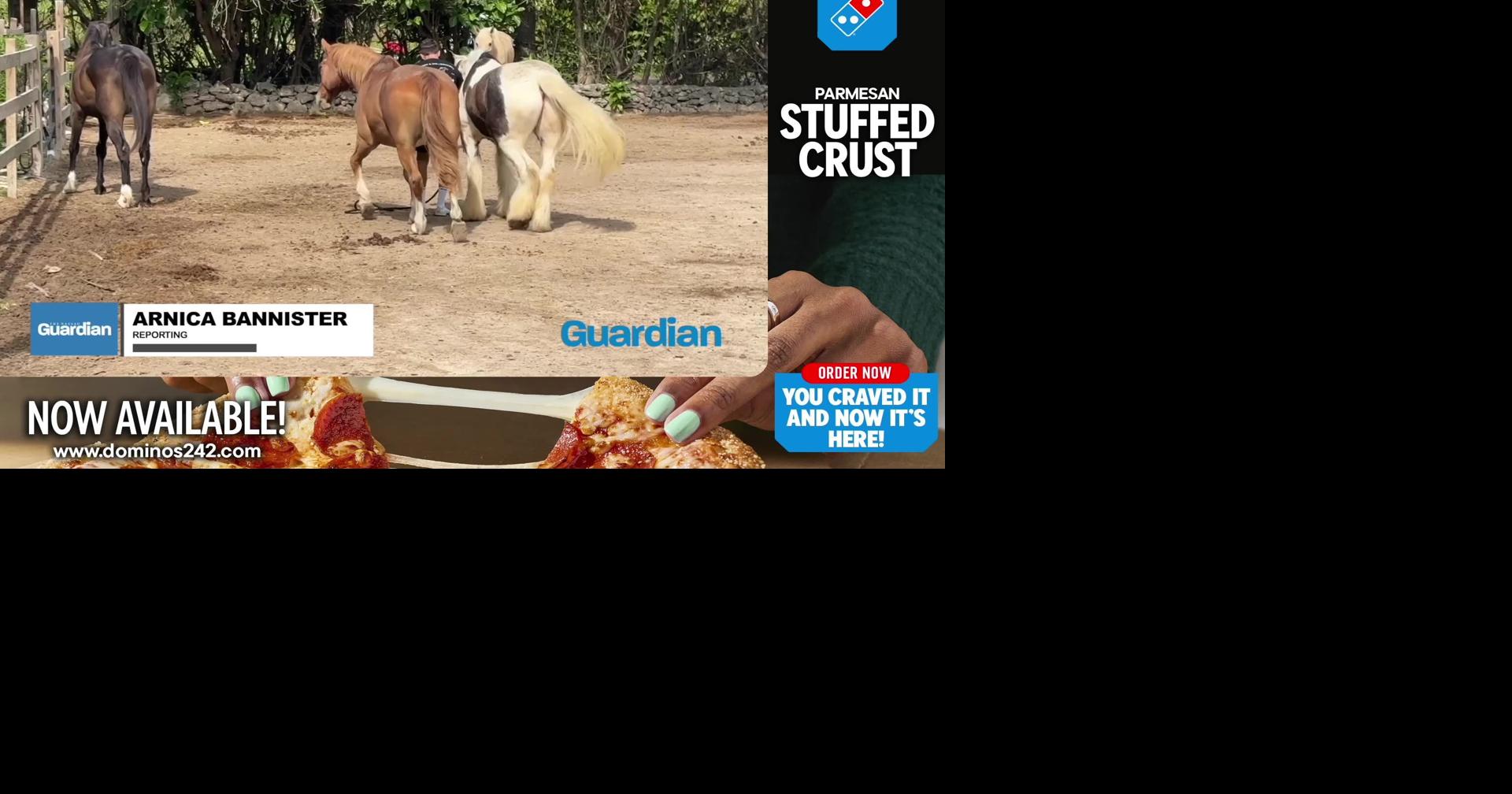 RANCH RESORT BAHAMAS | Videos | thenassauguardian.com