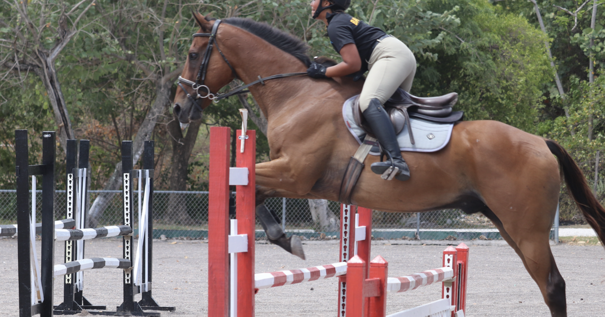 Miller finishes 14th in Jamaica