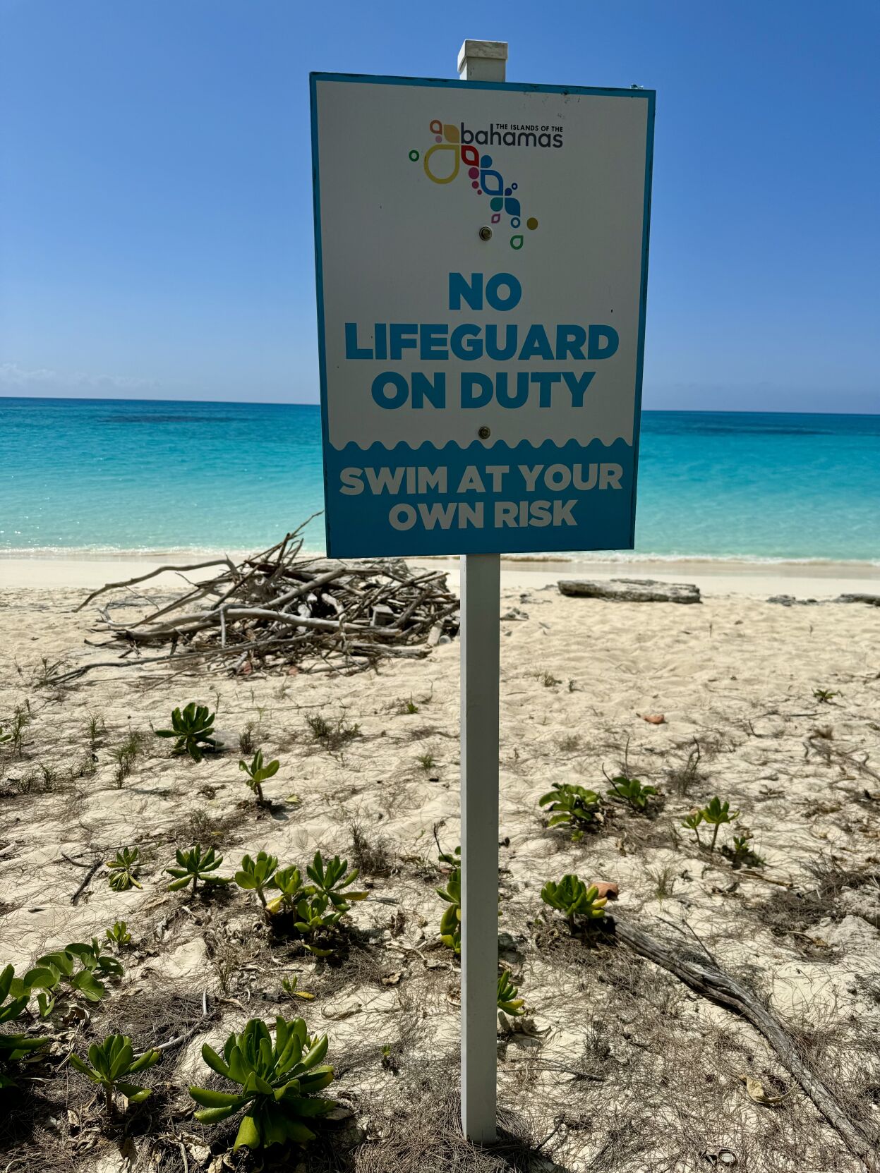 Urgent call for lifeguards at public beaches | | thenassauguardian.com