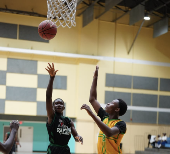 Ch Reeves Raptors Royals, Stingrays, and Wolves come out strong | Sports ...