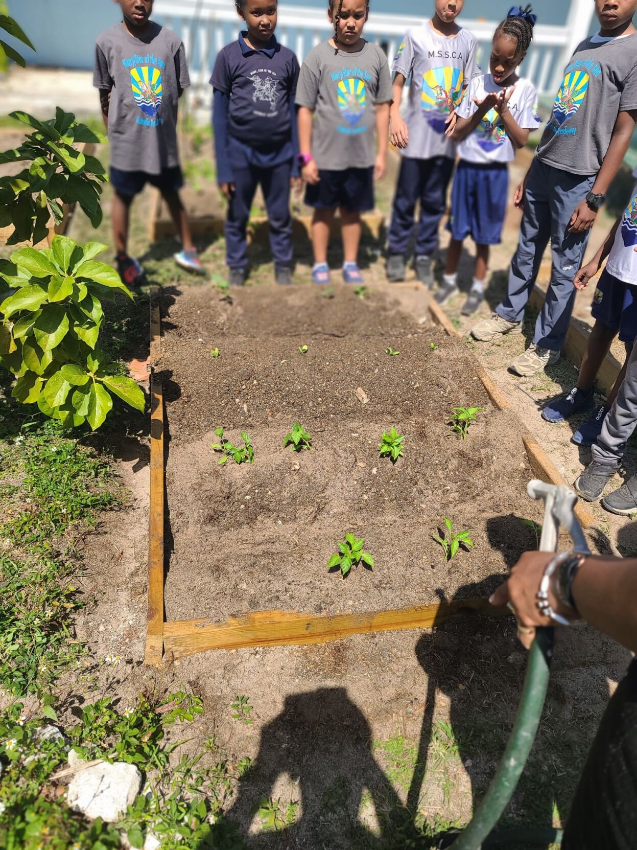 MSSCA, Berkshire partner for food sustainability | Grand Bahama ...